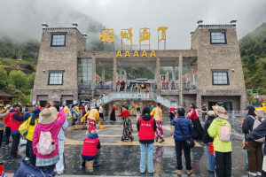縣司聯動凝聚合力  景區改革成效凸顯